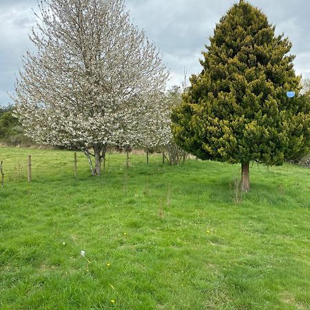 הוילה אוסורנו Campo, Tranquilidad, Relax Y Buenos Paisajes מראה חיצוני תמונה