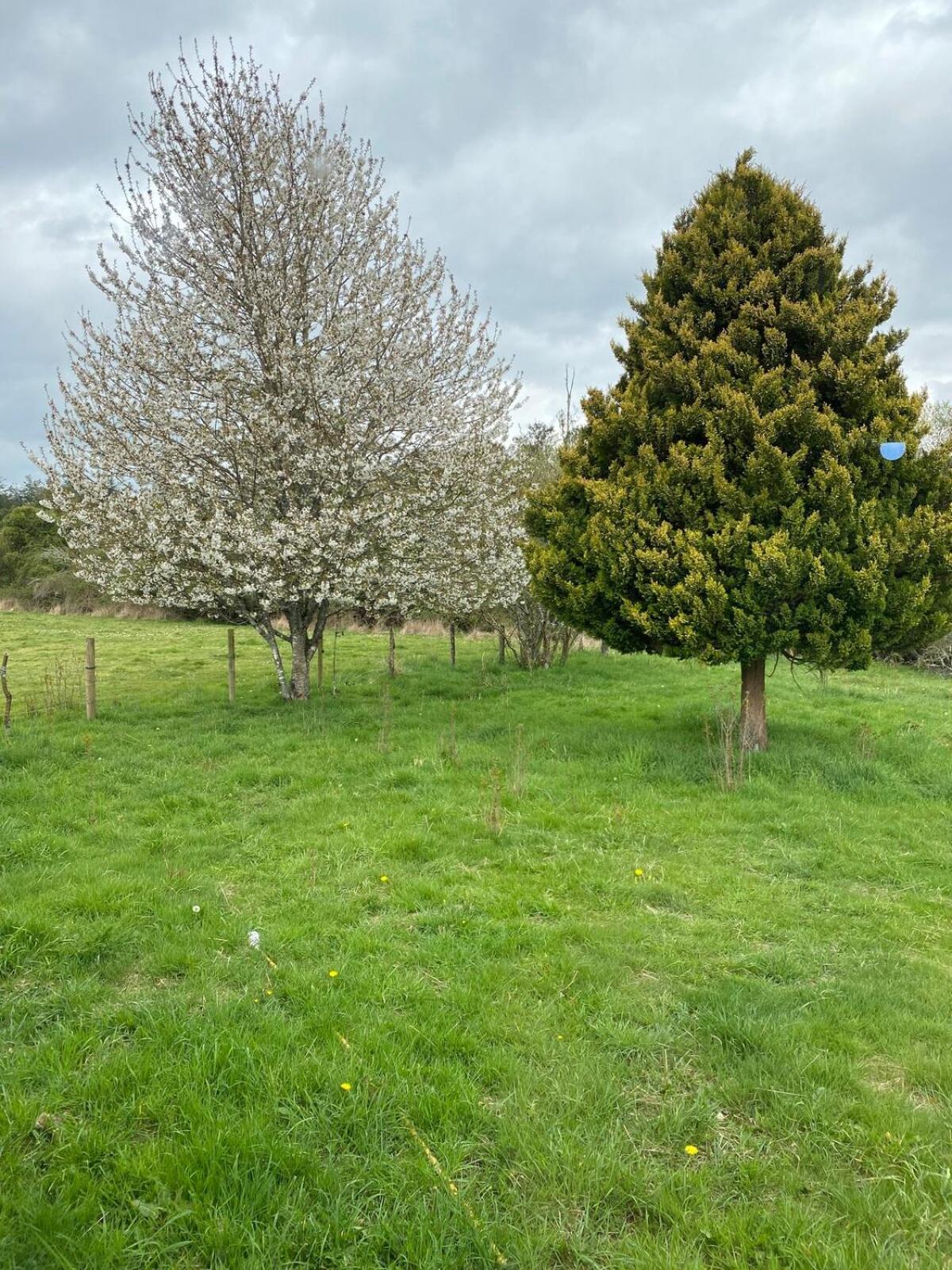 הוילה אוסורנו Campo, Tranquilidad, Relax Y Buenos Paisajes מראה חיצוני תמונה